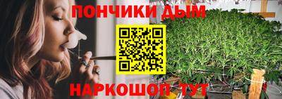 шишки Жуковский