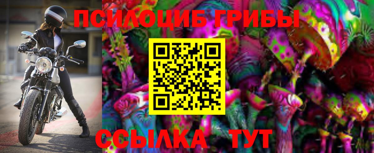 Псилоцибиновые грибы Psilocybe  Вход с VPN  Магнитогорск 